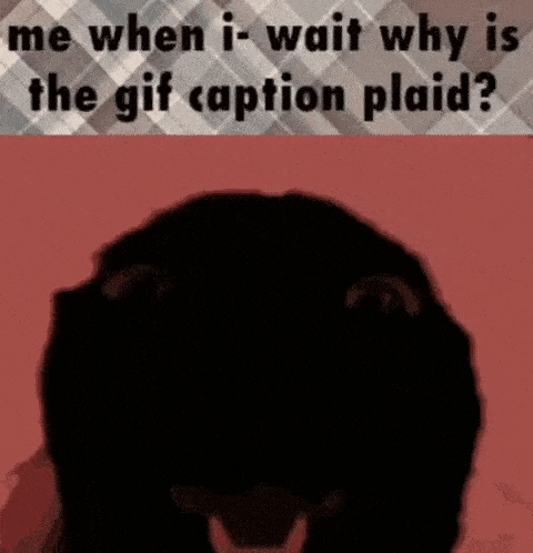 Insane Cat GIF