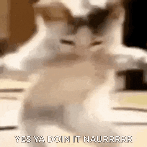 Insanity Popolo GIF