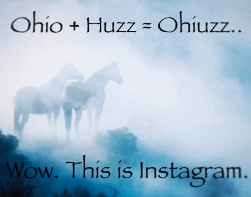Instagram Meme
