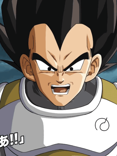 Int Super Saiyan God Ss Goku Super Saiyan God Ss Vegeta Divine Combat Begins GIF