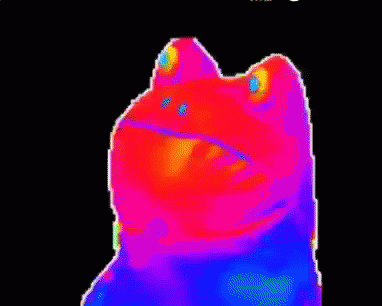 Intanhanhemm Frog GIF. This 382 x 306 animated GIF is part of our mlg rainbow frog collection. Related themes include frog, rainbow. View the original…