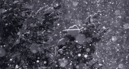 Invierno GIF