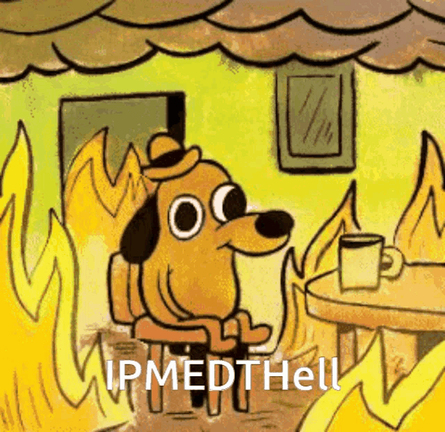 Ipmedth Hsleiden GIF