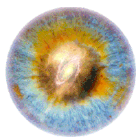 Iris Eyes Sticker