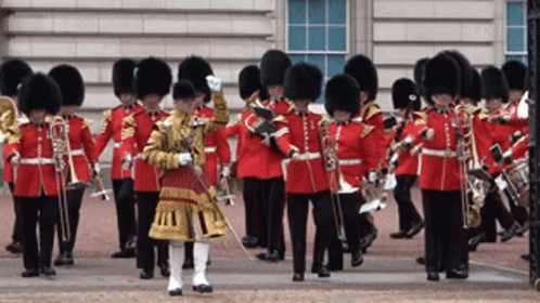 Irish Guards GIF. This 498 x 280 animated GIF is part of our royal soldier collection. Created by auggie1255. View the original animation, share it, or…