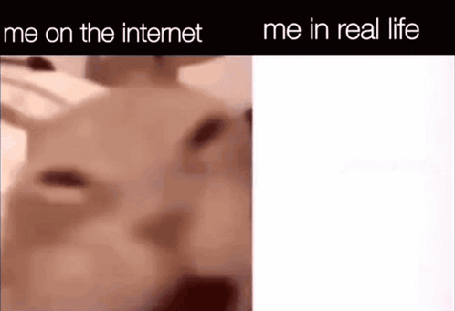 Irl Vs Online GIF