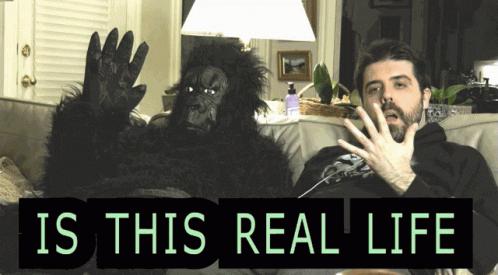 Is This Real Life GIF