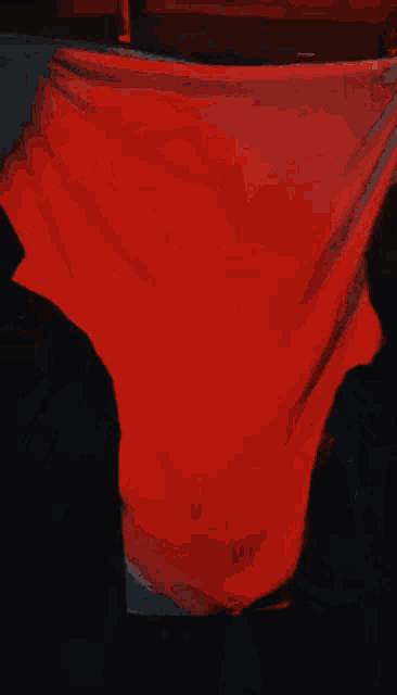 Ishness Ghostface GIF