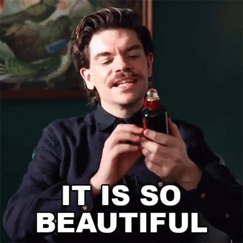 It Is So Beautiful Robin James GIF