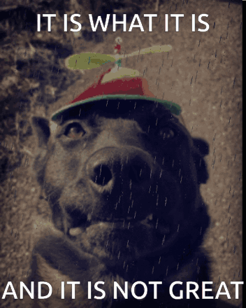 It Is What It Is Not Great GIF