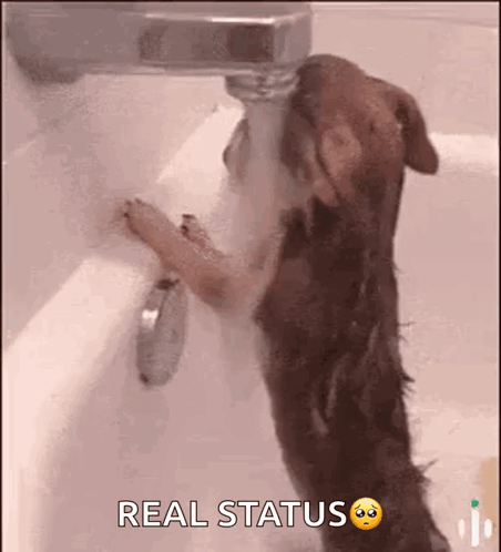 Itrendztrading Sad GIF