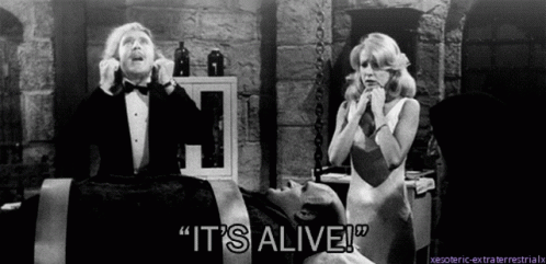 Its Alive Young Frankenstein GIF