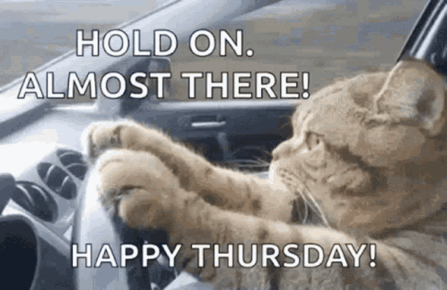 Its Almost GIF