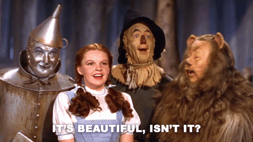 It'S Beautiful Isn'T It Dorothy Gale GIF
