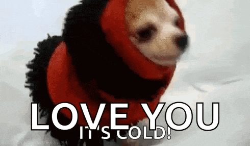 Its Cold Dogs GIF