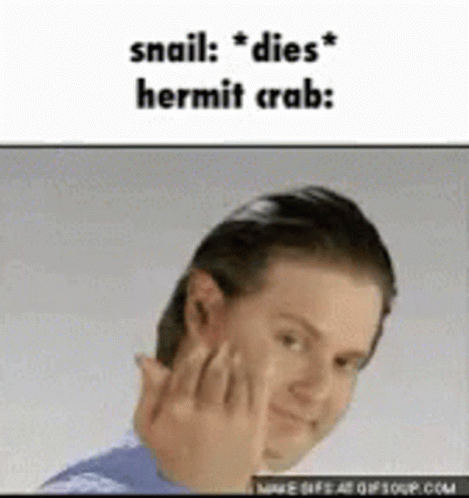 Its Free Real Estate Snails GIF. This 469 x 498 animated GIF is part of our its bad writing collection. Created by SkyWalker519. View the original…