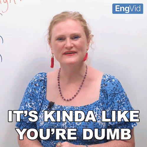 It'S Kinda Like You'Re Dumb Ronnie GIF