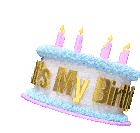Its My Birthday Send Tiktoks Sticker