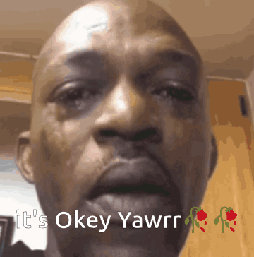 It'S Okey Yawrr Meme GIF. This 360 x 364 animated GIF is part of our funny sad collection. Related themes include meme. Created by Gaurav_69. View the…