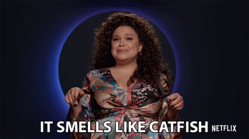 Its Smells Like Catfish Smells Like A Scam GIF