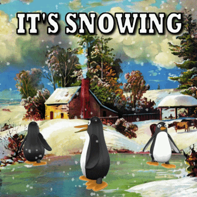 Its Snowing Snow GIF