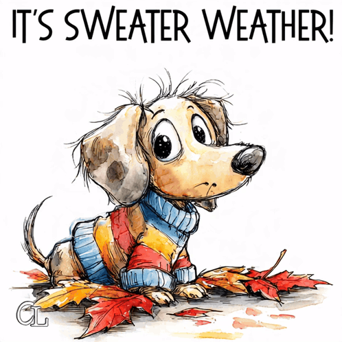 Its Sweater Weather Fall Weather GIF. This 498 x 498 animated GIF is part of our fall collection. Related themes include autumn, cute, funny. Created by…