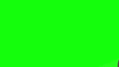 Its Time To Stop GIF