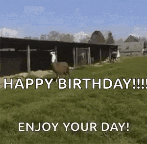 Its Yo Birthday GIF