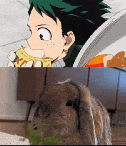 Izuku Izuku Midoriya GIF