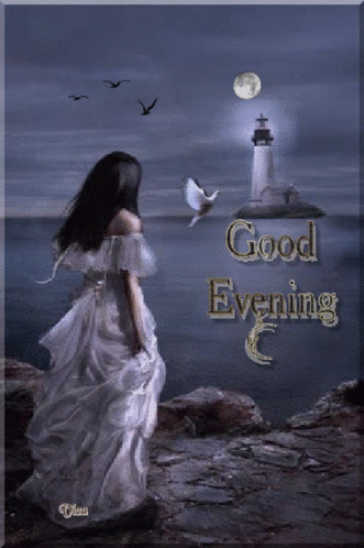 Jóejszakát Good Evening GIF
