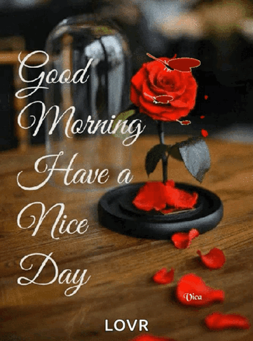 Jóreggelt Good Morning GIF. This 369 x 498 animated GIF is part of our guten morgen und schonen tag collection. Related themes include flower, good morning…