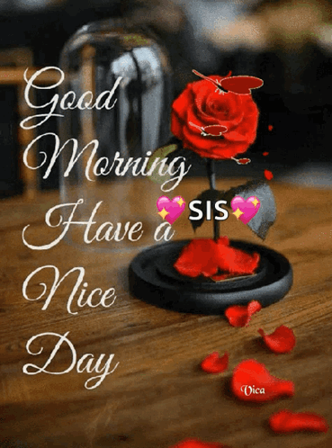 Jóreggelt Good Morning GIF