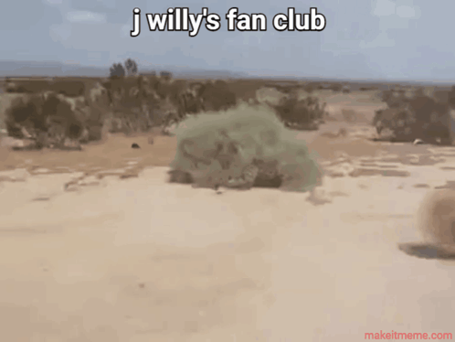 J Willy Science GIF