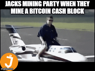 Jack Jackcoin GIF
