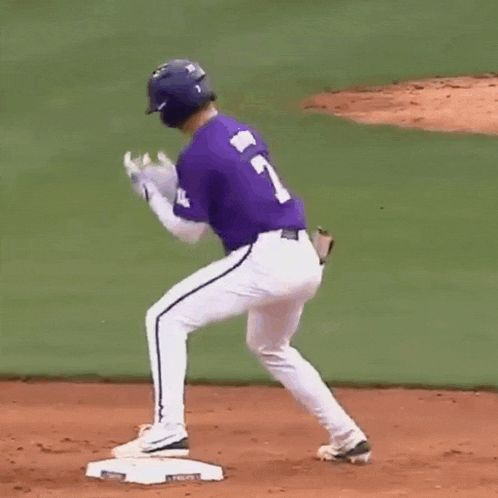 Jake Brown Lsu Baseball GIF