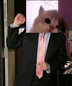 Jam Cat Cat Jam GIF