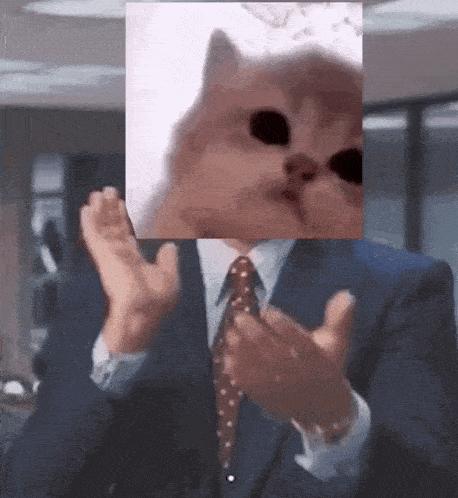 Jam Jamcat GIF