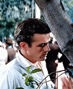 James Dean GIF. This 244 x 300 animated GIF is part of our james deen collection. Created by Liaan. View the original animation, share it, or browse related…
