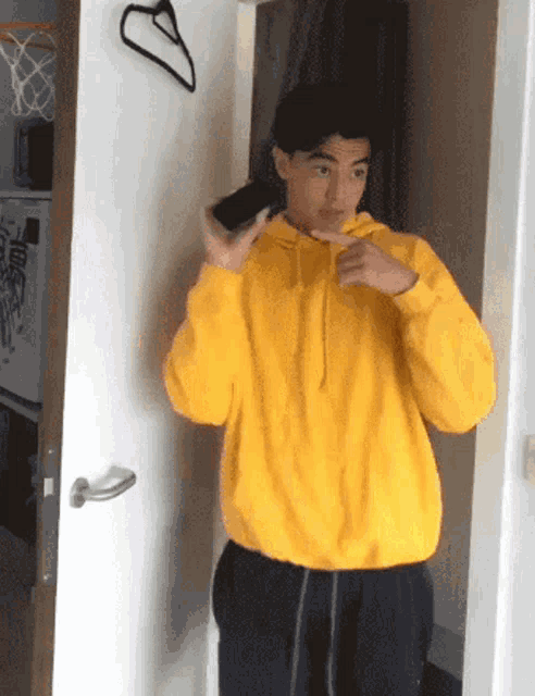 Jan Brummer Free Phone GIF