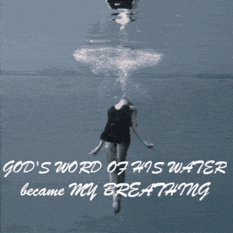 Janestree GIF