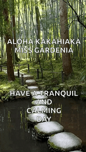 Japan Relax GIF