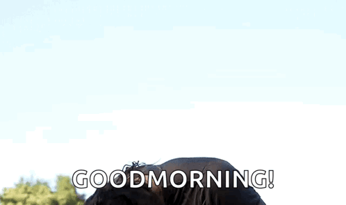 Jason Momoa Jason GIF