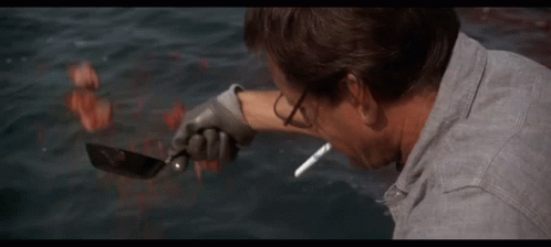 Jaws Tubarao GIF