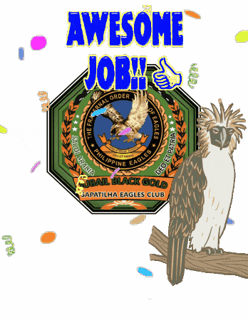 Jbgsec Awesome GIF