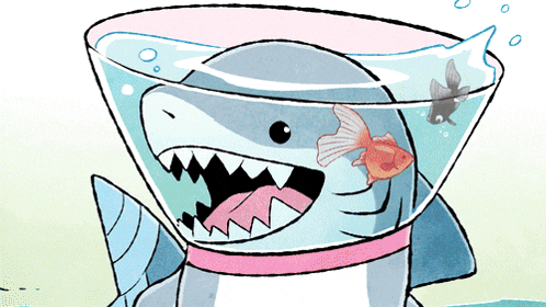 Jeff Land Shark GIF