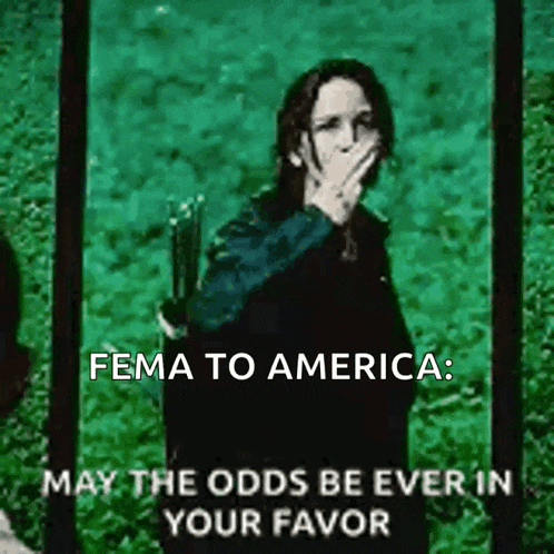 Jennifer Lawrence The Mocking Jay GIF