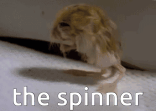 Jerboa Pigmy Jerboa GIF