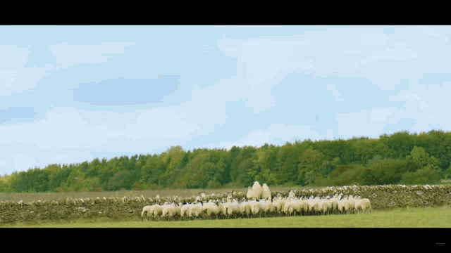 Jeremy Jeremy Clarkson GIF