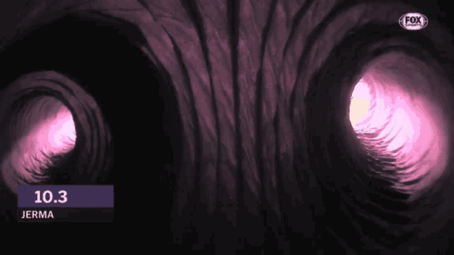 Jerma Beemer GIF