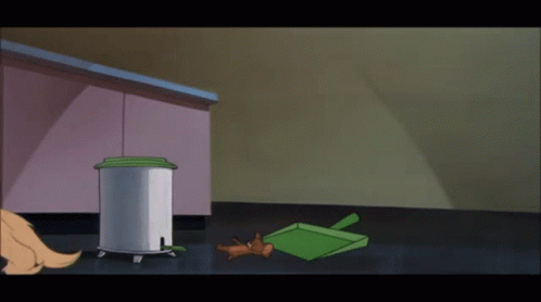 Jerry Broom GIF